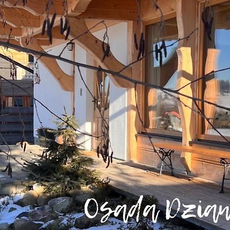 Osada Dzianisz N°54 Villa Eksteriør bilde